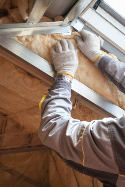 Best Residential Insulation in Combes, TX