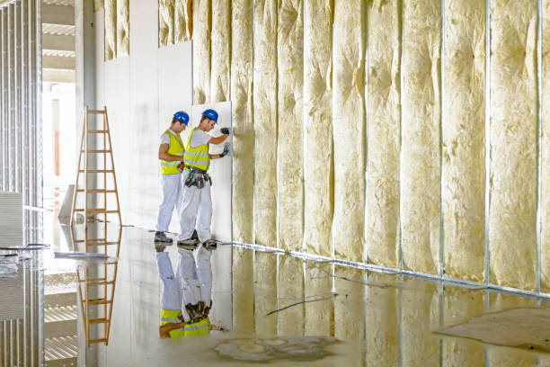 Best Cellulose Insulation in Combes, TX